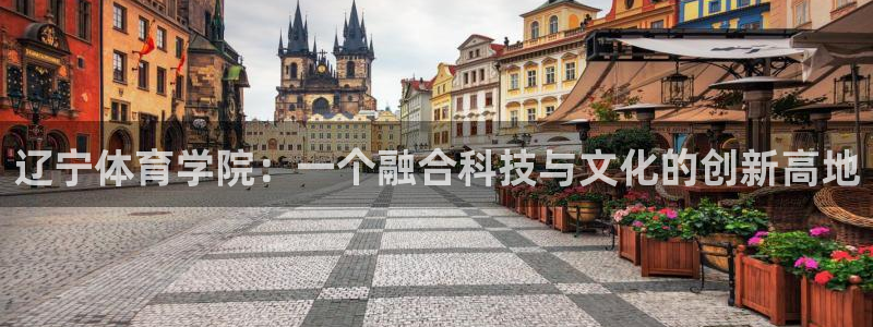 注册利记官方正版app:辽宁体育学院:一个融合科技与文化的创